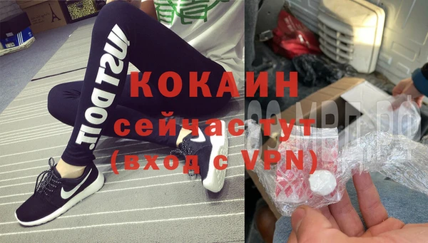 спайс Алзамай