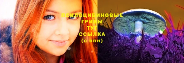 бошки Алексеевка