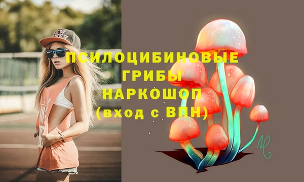 первитин Алексин