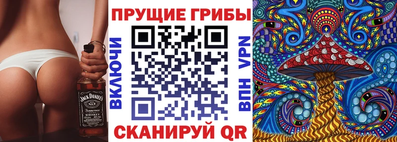 Псилоцибиновые грибы MAGIC MUSHROOMS  купить наркоту  Ревда 