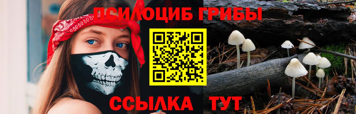 Галлюциногенные грибы мухоморы Ревда