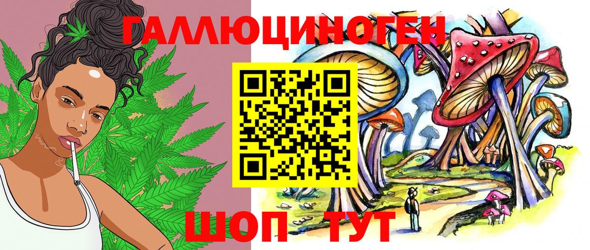 Ревда  Галлюциногенные грибы Psilocybe  Вход с VPN  как найти наркотики  Галлюциногенные грибы Psilocybe 
